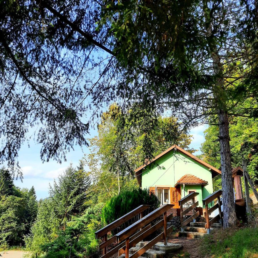 Gite L'Envol Villa Belval  Екстериор снимка